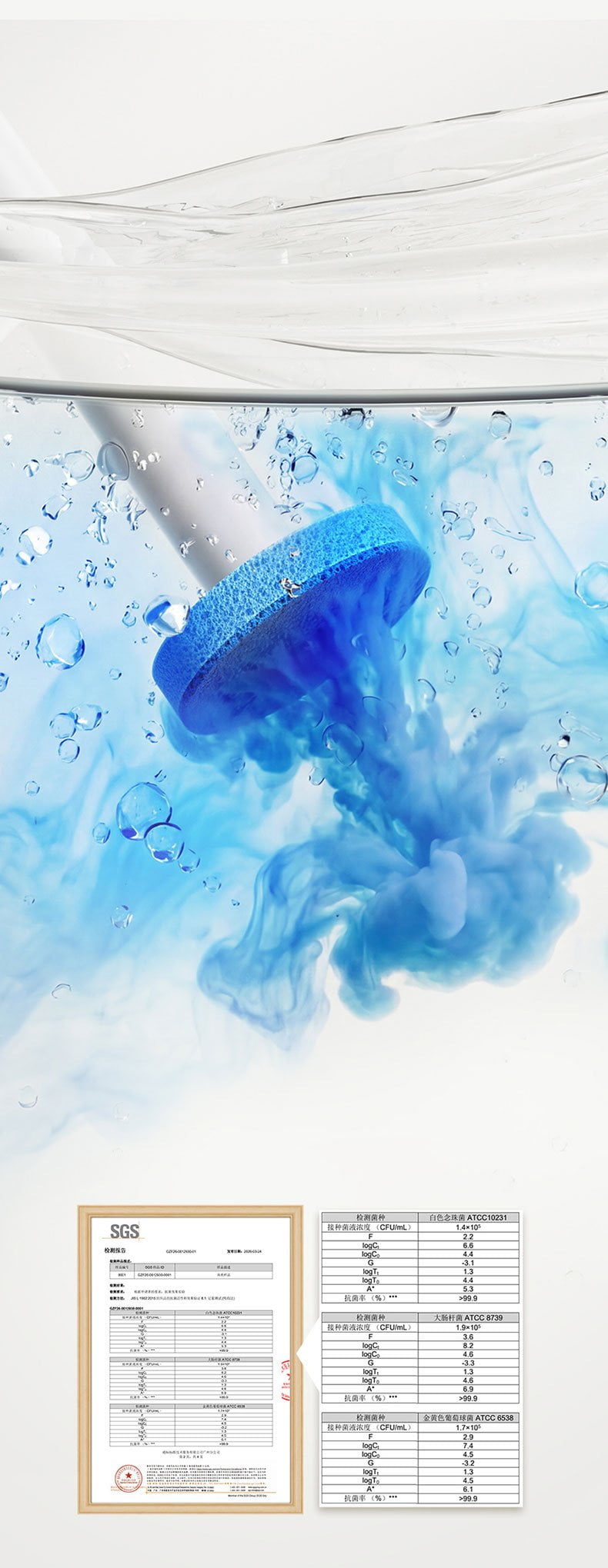 Suction Cup Visible Disposable Toilet Brush